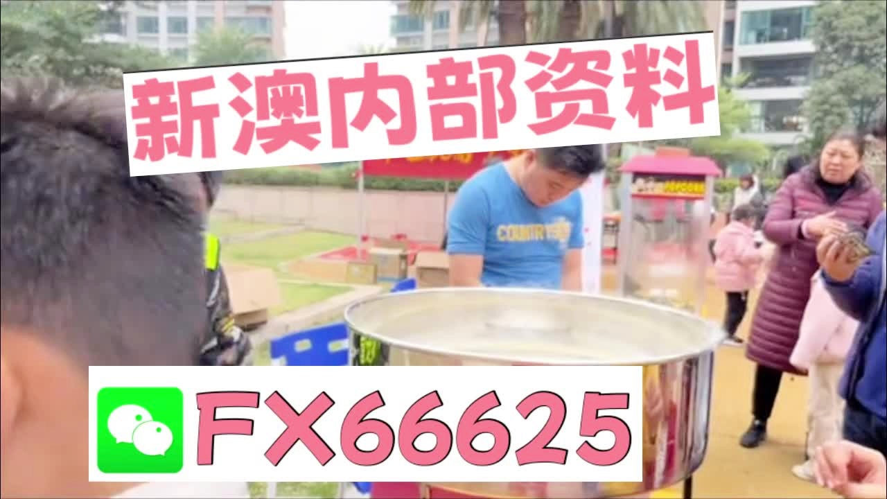 新奧2025正版資料大全，全面解析與深度探索，新奧2025正版資料大全，全面解析與深度探索揭秘