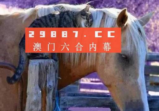 澳門(mén)一肖一碼一待一中四不像，探索與解析，澳門(mén)一肖一碼一待一中四不像，深度解析與探索