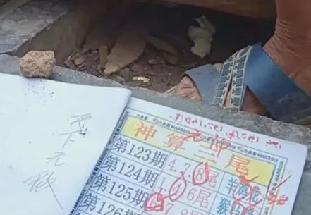 香港中特期期準(zhǔn)資料，深度解析與探索，香港中特期期準(zhǔn)資料深度解析與探索報(bào)告