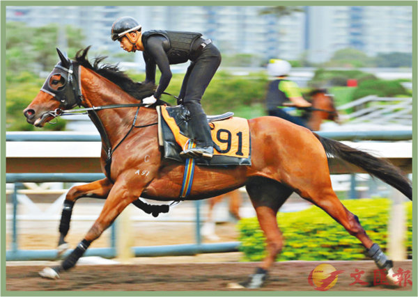香港賽馬，探索數(shù)字背后的激情與榮耀，香港賽馬，數(shù)字背后的激情與榮耀之旅