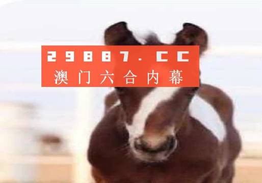 澳門一肖一碼一待一中資料，深度解析與探索，澳門一肖一碼深度解析與探索揭秘資料
