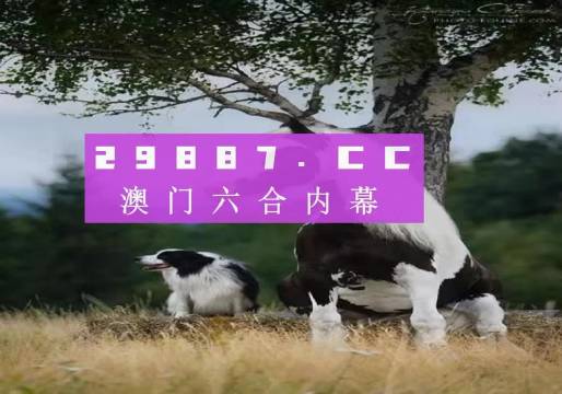 澳門天天空彩官網(wǎng)資料，探索彩票世界的門戶，澳門天天空彩官網(wǎng)資料，彩票世界探索門戶