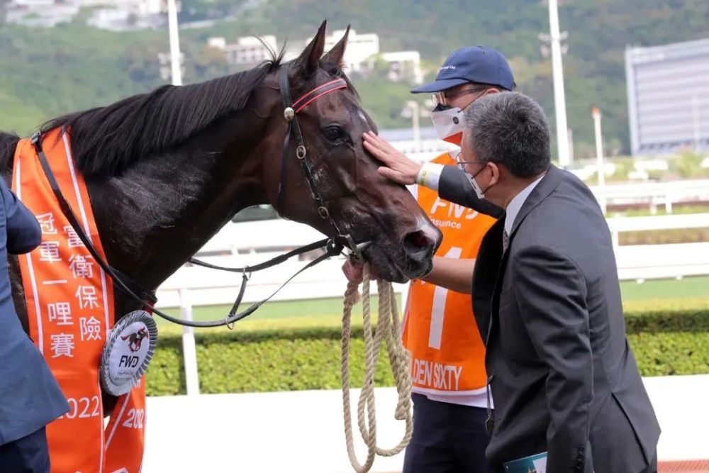 探索香港馬官網，一站式體驗7777788888的精彩世界，探索香港馬官網，一站式體驗精彩世界，7777788888的魅力之旅
