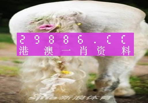 澳門羊了個羊與各大圖庫的資料揭秘，2023年澳門今晚必中一肖一碼永久免費(fèi)資料庫大解密，澳門羊了個羊與資料庫揭秘，2023年必中一肖一碼永久免費(fèi)資料大解密