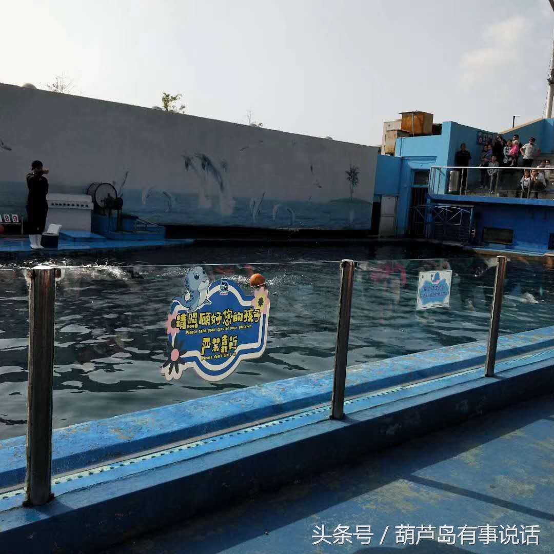 揭秘9點30分彩新澳，全方位解讀彩票新玩法，揭秘9點30分彩新澳，全方位解讀彩票新玩法攻略