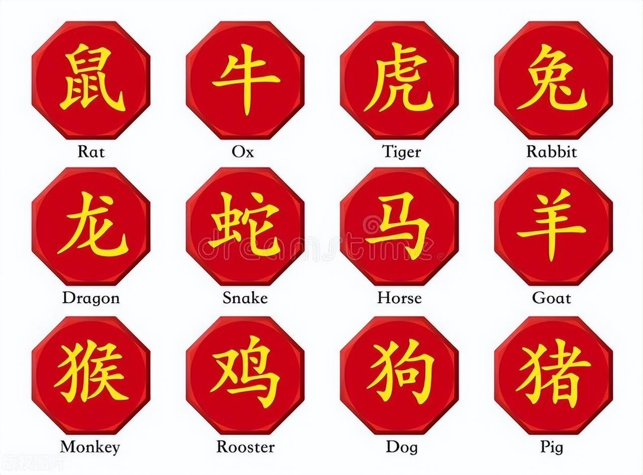 新澳特碼，羊?；⒏鲾?shù)10——揭秘背后的數(shù)字奧秘，揭秘新澳特碼數(shù)字奧秘，羊牛虎各數(shù)背后的秘密