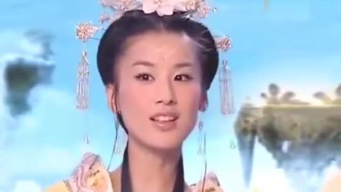 曾道道人資料免費(fèi)大全，深度探索與解析，曾道道人資料深度解析與免費(fèi)大全探索
