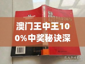 新澳門王中王期期中，探索與解析，新澳門王中王期期中，深度探索與解析