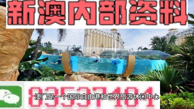 新澳的資料去哪里找——全面指南，新澳資料全攻略，尋找資料的途徑與指南