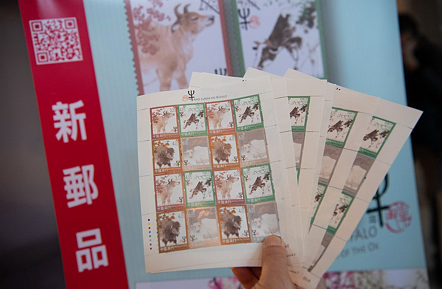 澳門值日生肖600圖庫與八百圖庫開獎，探索生肖圖庫的魅力與奧秘，澳門生肖圖庫開獎揭秘，探索值日生肖600圖庫與八百圖庫的魅力與奧秘