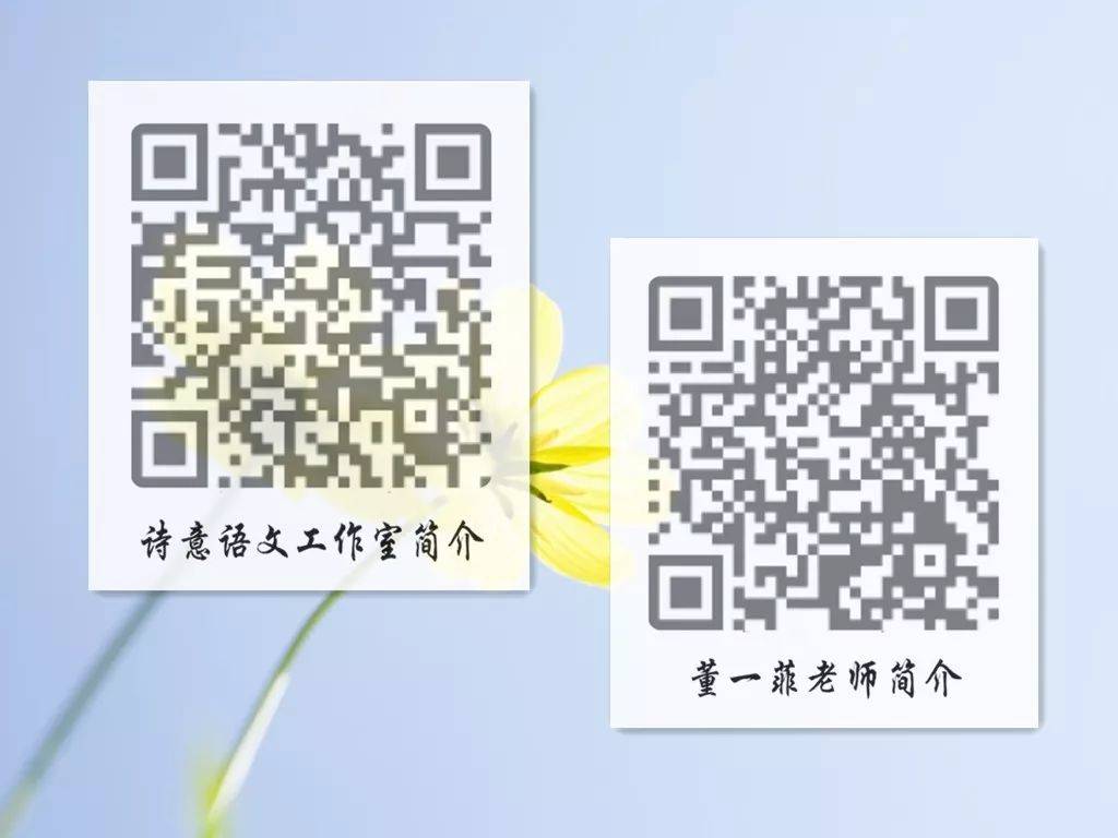 一碼一肖一特一，揭秘背后的秘密與獨特之處，揭秘一碼一肖一特一的獨特之處與背后秘密