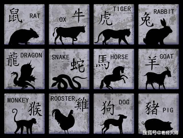 新澳特碼，羊?；⒏鲾?shù)10的獨(dú)特魅力與解析，新澳特碼，羊牛虎各數(shù)10的獨(dú)特魅力深度解析