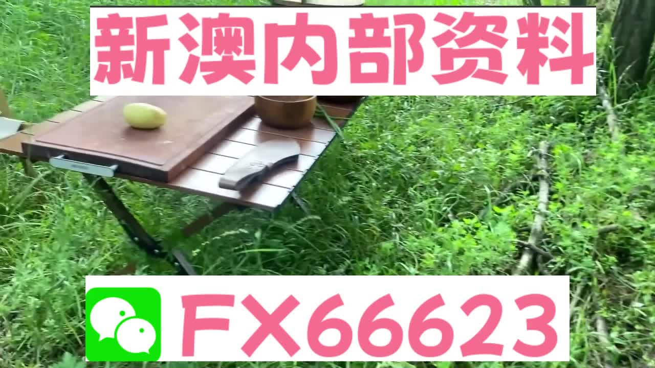 新奧特碼走勢圖解析與預測，新奧特碼走勢圖解析與預測，未來趨勢探討