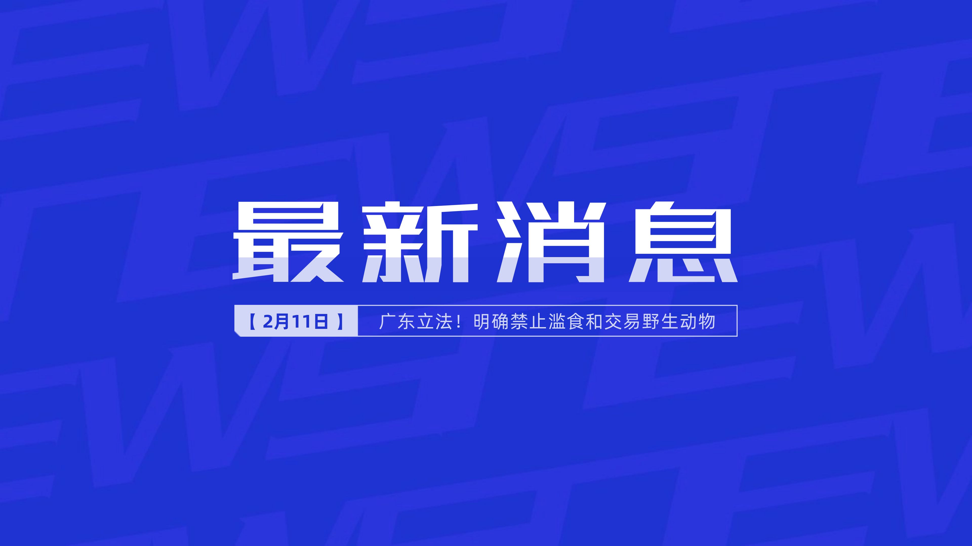 新聞最新新聞，掌握時事熱點(diǎn)，洞悉世界動態(tài)，時事熱點(diǎn)速遞，掌握全球最新動態(tài)新聞