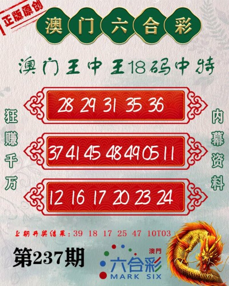 新澳門王中王期期中，探索與解析，新澳門王中王期期中，深度探索與解析