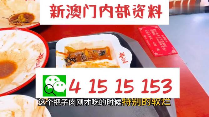 澳門王中王六碼新澳門，探索與解析，澳門王中王六碼新澳門，深度探索與解析
