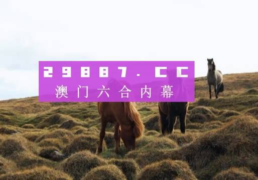 澳門今晚9點35開獎結果揭曉，揭秘彩票背后的秘密，澳門今晚9點35開獎結果揭曉，彩票背后的秘密大揭秘