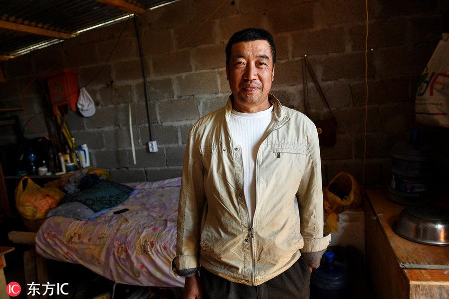 博科圣地組織，深度解析與理解，博科圣地組織深度解析與探究