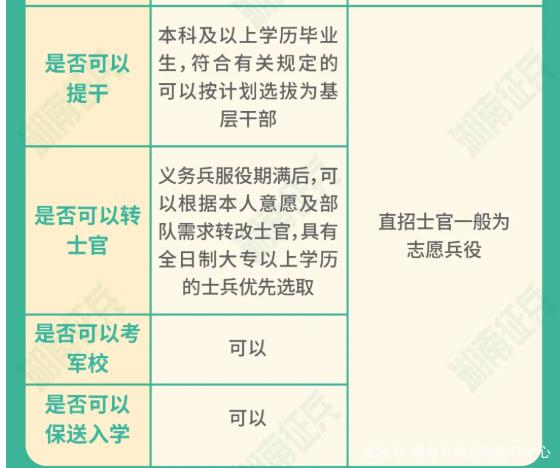 士官直招與義務兵的區(qū)別，深入了解軍隊招募制度，直招士官與義務兵招募制度深度解析，軍隊招募制度詳解
