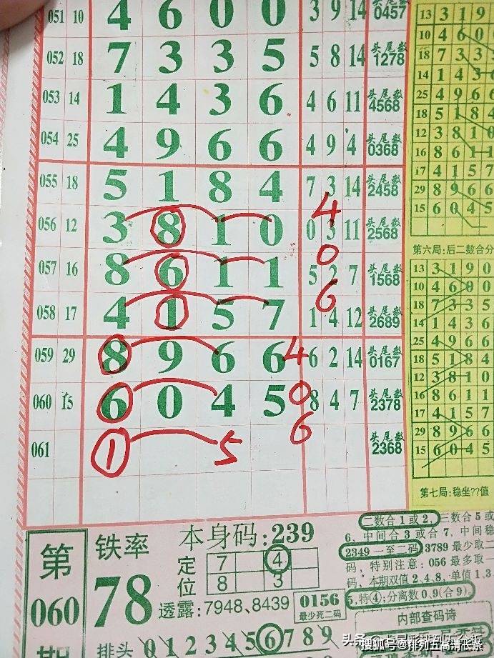平特肖推算法，探索搜索引擎優(yōu)化的新境界，平特肖推算法，開啟搜索引擎優(yōu)化新境界的探索之旅