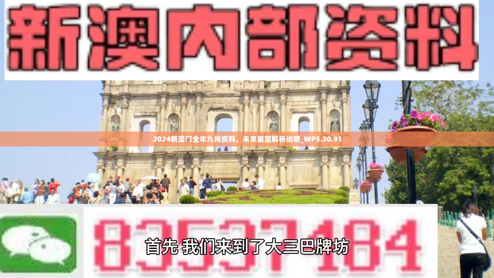 新澳門精準(zhǔn)九肖，揭秘預(yù)測技巧與策略，揭秘新澳門精準(zhǔn)九肖預(yù)測技巧與策略