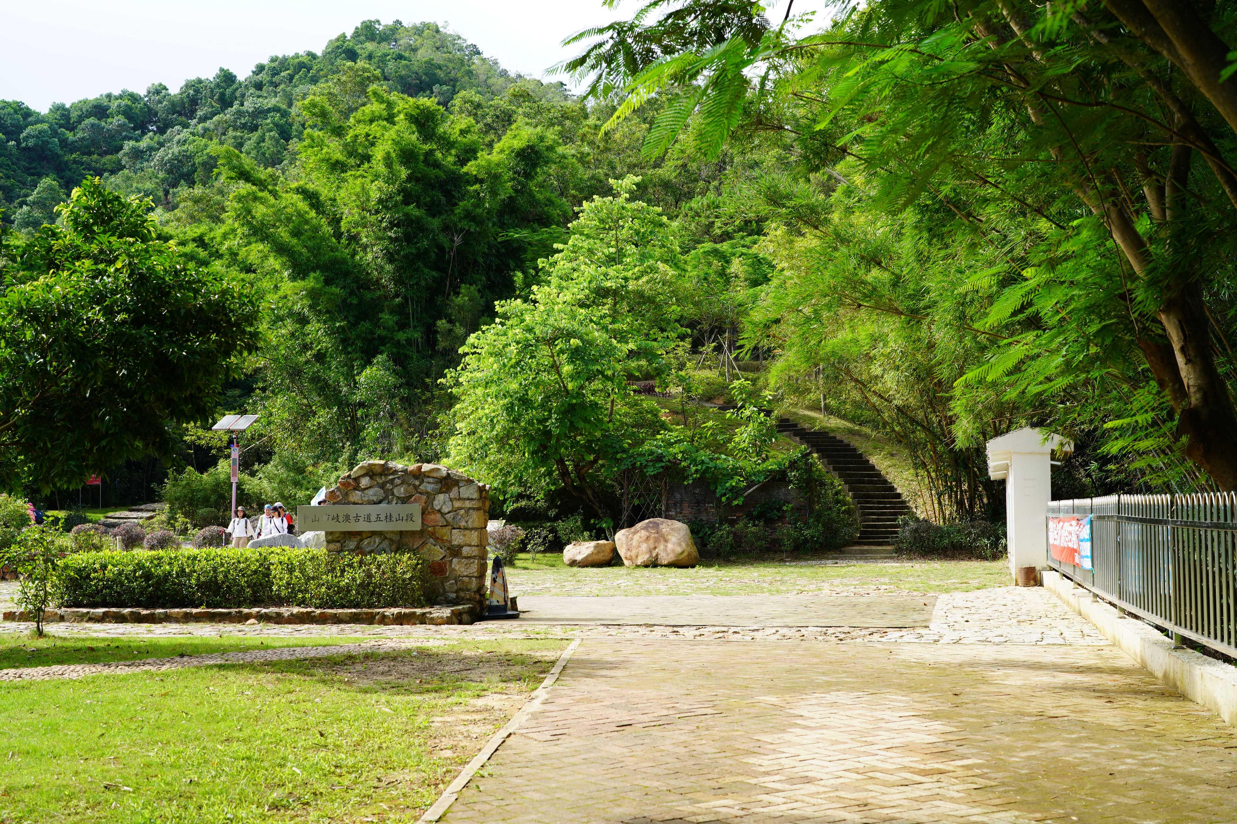 新澳門波色走勢圖表大全，深度解析與預(yù)測，澳門波色走勢圖表解析與預(yù)測大全