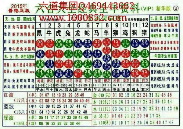 揭秘2024十二生肖49碼表——完整指南，揭秘十二生肖49碼表全攻略，2024年最新版指南