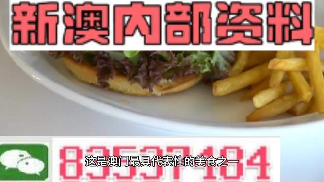 新澳2024生肖最新資料解析與預測，新澳2024生肖解析與預測報告