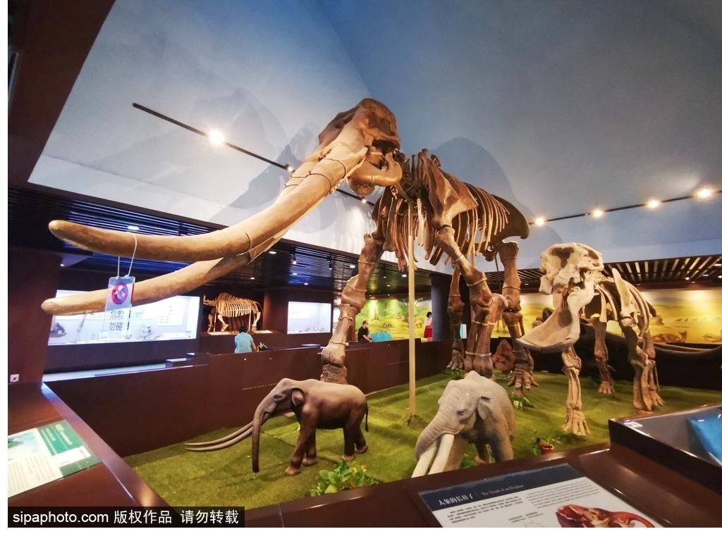 北京必去的十大博物館——探尋千年文化的精華之旅，北京必游十大博物館，千年文化精華之旅探尋記