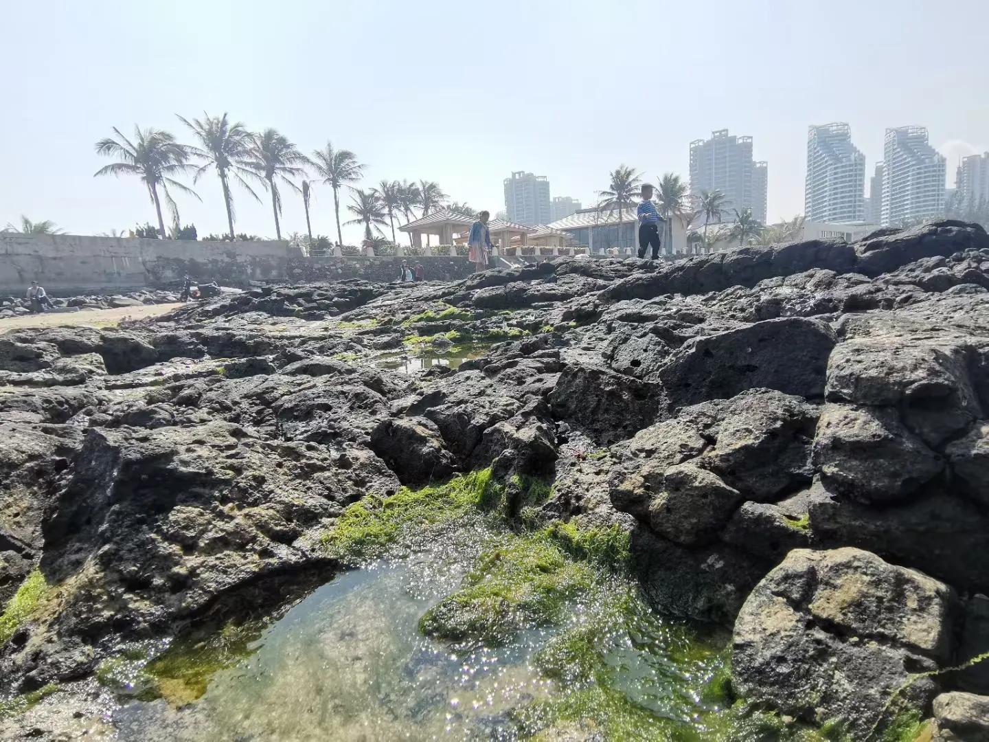 解放海南島電視劇全集下載，探尋30集完整劇情，解放海南島電視劇全集下載，探尋完整的30集劇情探索