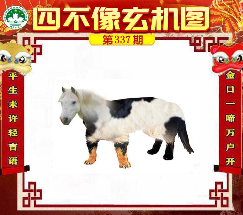 王中王四不像肖一肖中特，探索神秘現(xiàn)象背后的真相，神秘現(xiàn)象背后的真相探索，王中王四不像肖一肖中特揭秘
