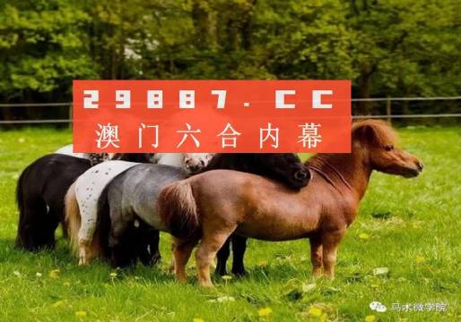王中王四不像正版一肖中特圖，揭秘背后的秘密與獨特魅力，揭秘王中王四不像正版一肖中特圖的獨特魅力和背后秘密