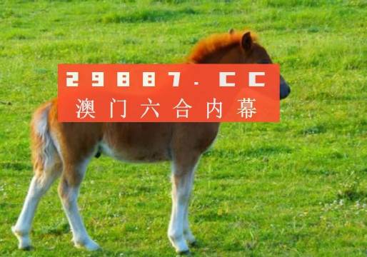 澳門(mén)答家婆一肖一馬一中一特，揭秘背后的秘密與獨(dú)特文化魅力，澳門(mén)文化魅力深度解析，答家婆一肖一馬一中一特的獨(dú)特傳統(tǒng)與秘密