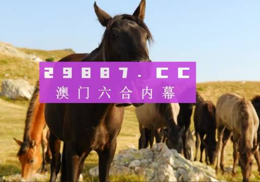澳門(mén)49圖庫(kù)下載安裝綠色，全面指南與優(yōu)勢(shì)解析，澳門(mén)49圖庫(kù)下載安裝綠色版，全面指南與優(yōu)勢(shì)深度解析