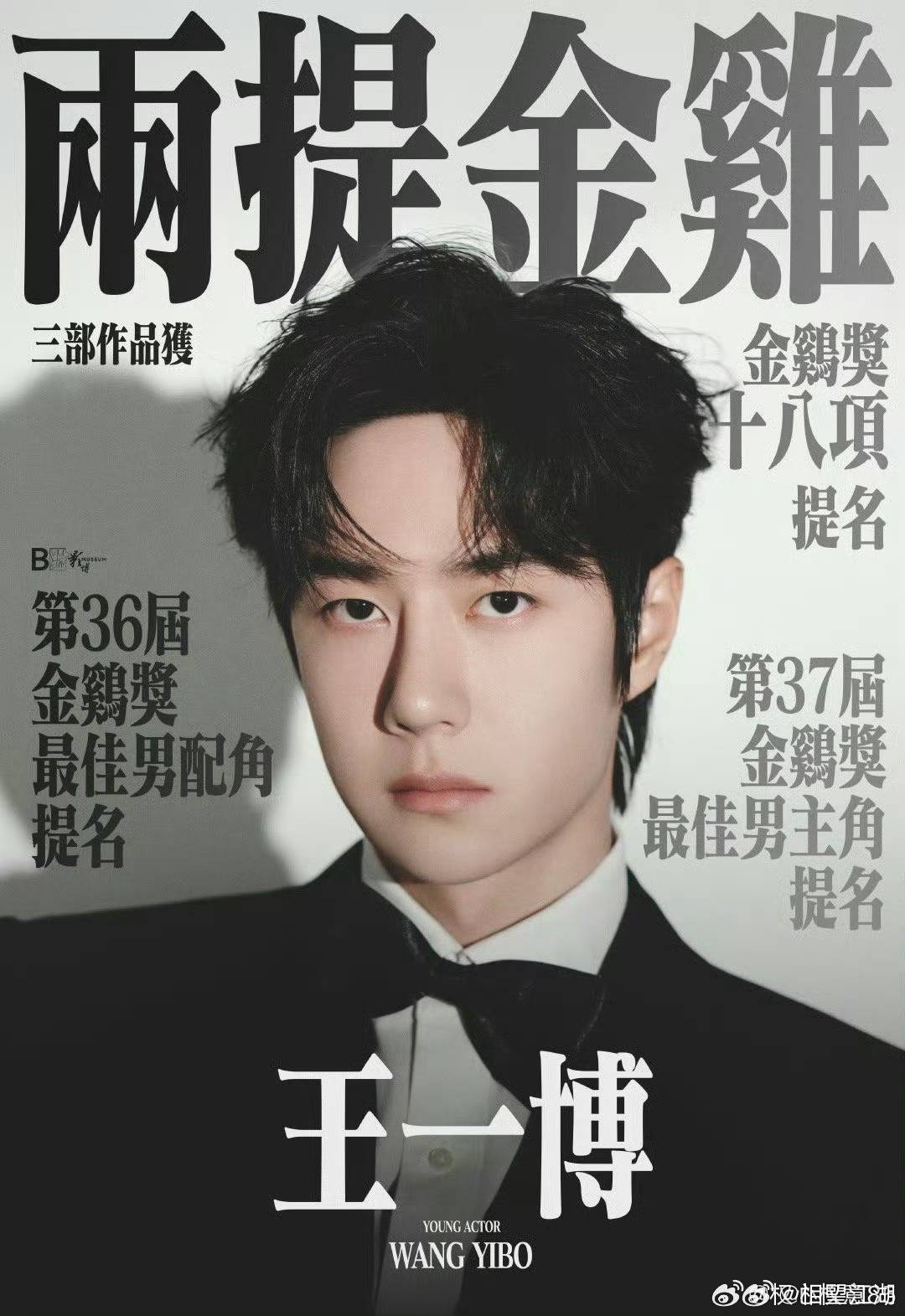王中王一肖中特論特，深度解析與SEO洞察，深度解析王中王一肖中特論特與SEO洞察