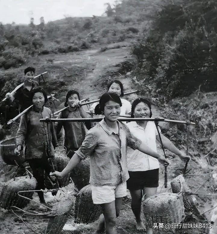 關(guān)于49圖庫(kù)圖片資料的專業(yè)解析與探索，49圖庫(kù)圖片資料深度解析與探索