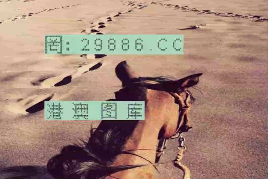 香港特馬資料王中王24期，深度解析與探索，香港特馬資料王中王深度解析與探索，第24期探索之旅