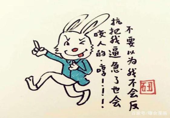 一肖不中賠多少倍，深度解析與策略建議，一肖不中賠倍深度解析及策略建議
