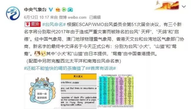 新澳門(mén)必中三肖三碼三期必開(kāi)劉伯，揭秘彩票背后的秘密與策略，揭秘彩票背后的秘密與策略，劉伯的新澳門(mén)三期必開(kāi)三肖三碼預(yù)測(cè)技巧