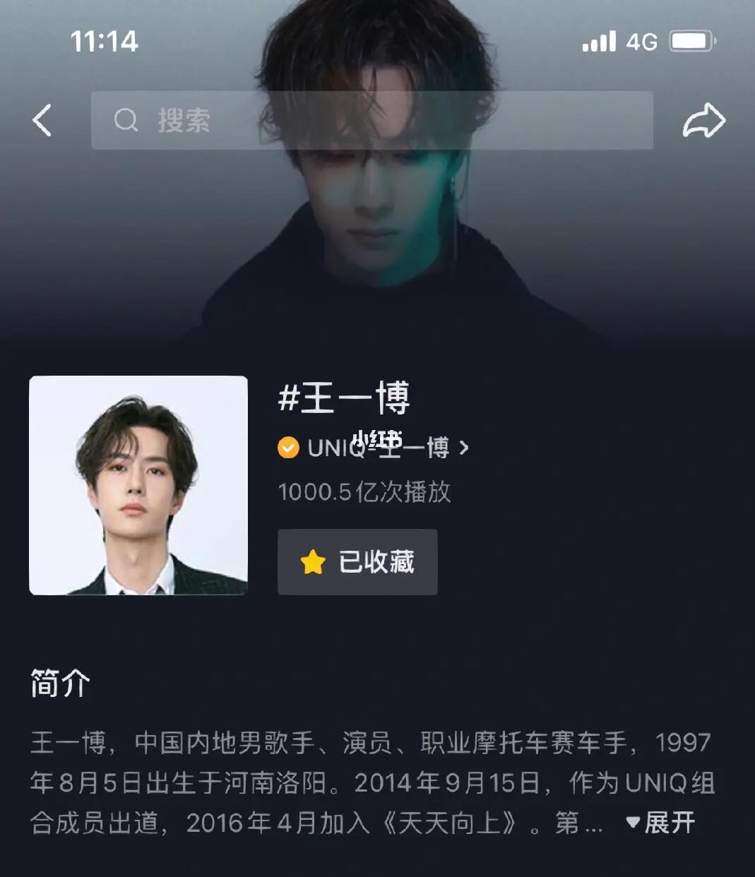 王中王一肖內(nèi)部資料詳解，王中王一肖內(nèi)部資料深度解析