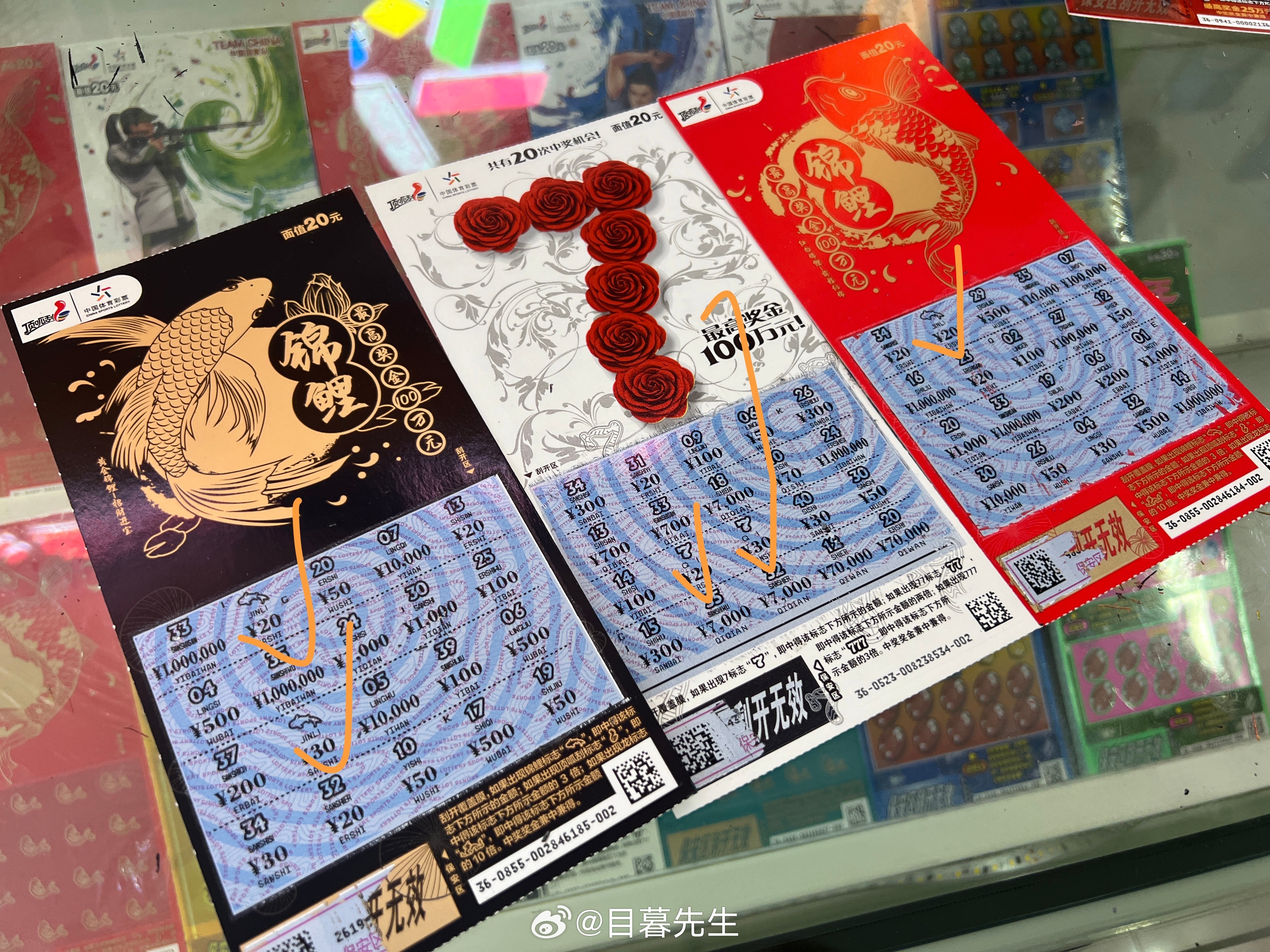 全年王中王一肖中特，深度解析與預(yù)測(cè)，全年王中王一肖深度解析與預(yù)測(cè)，揭秘特肖趨勢(shì)