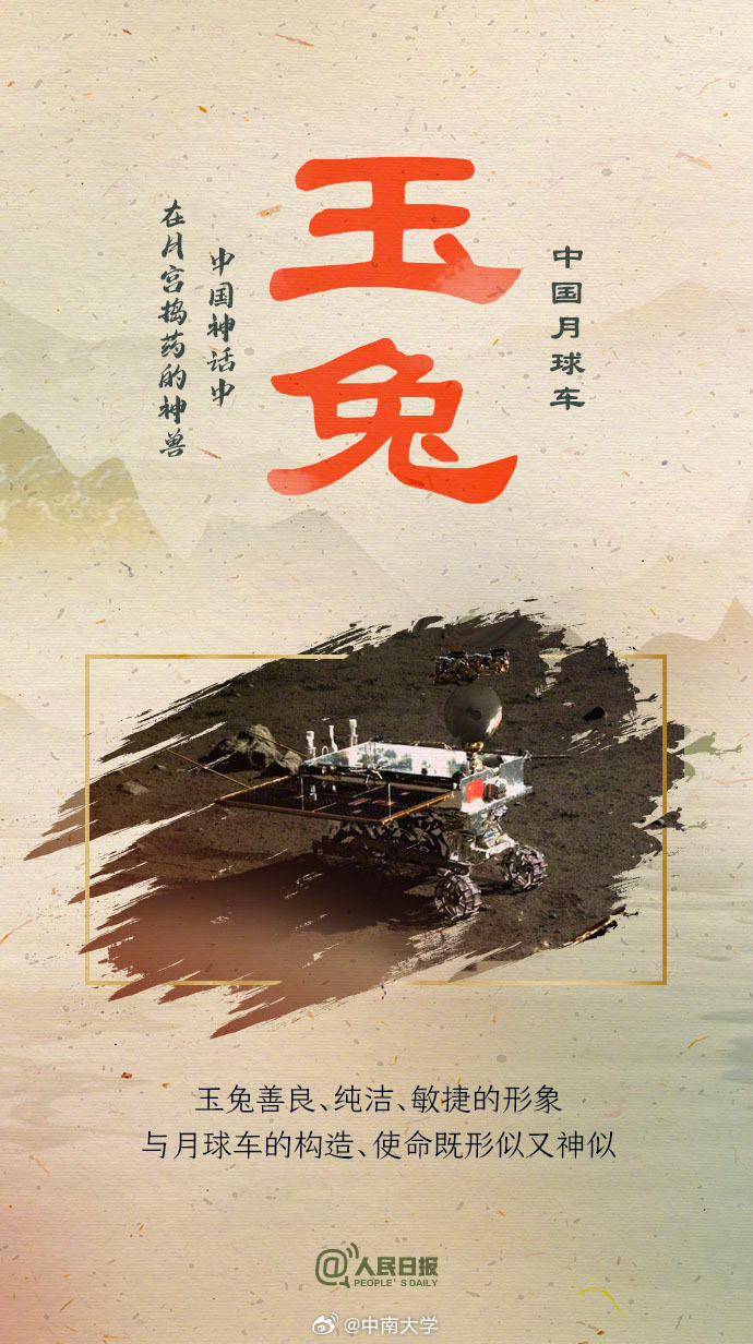 揭秘王中王平特一肖免會(huì)公開的奧秘，王中王平特一肖免公開揭秘奧秘