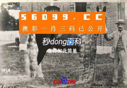澳門王中王心水王中王，探索與解析，澳門王中王心水奧秘，深度探索與解析
