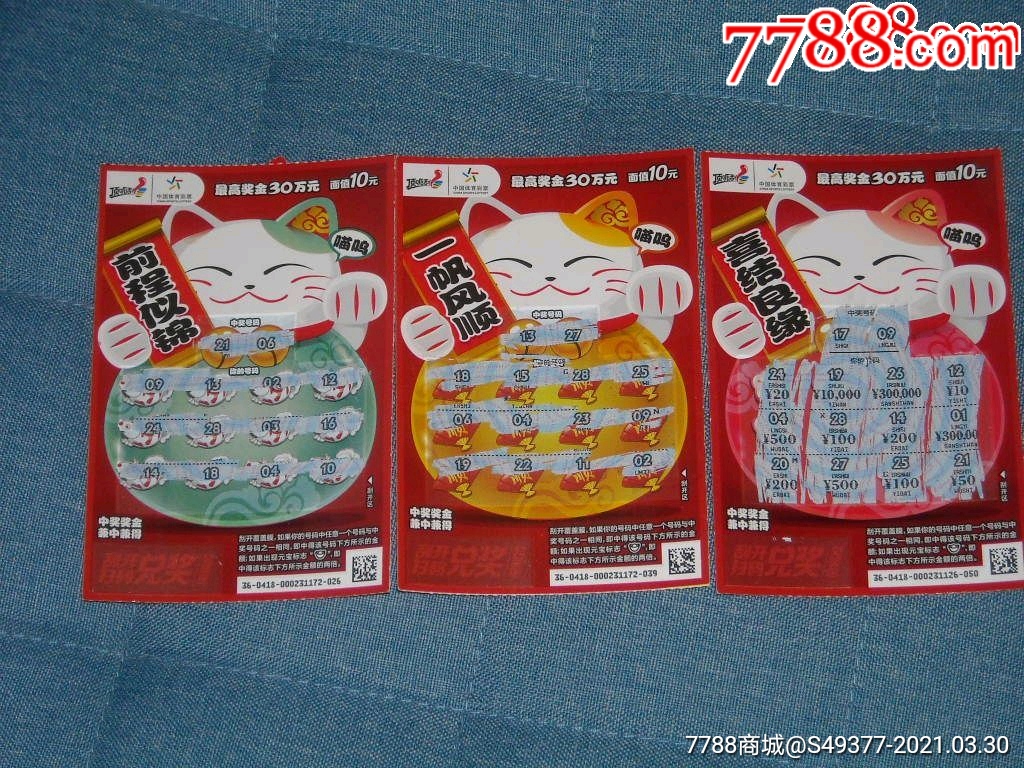 揭秘王中王資料一肖中特y招財貓，真相與秘密，揭秘王中王資料與招財貓，真相與秘密探索