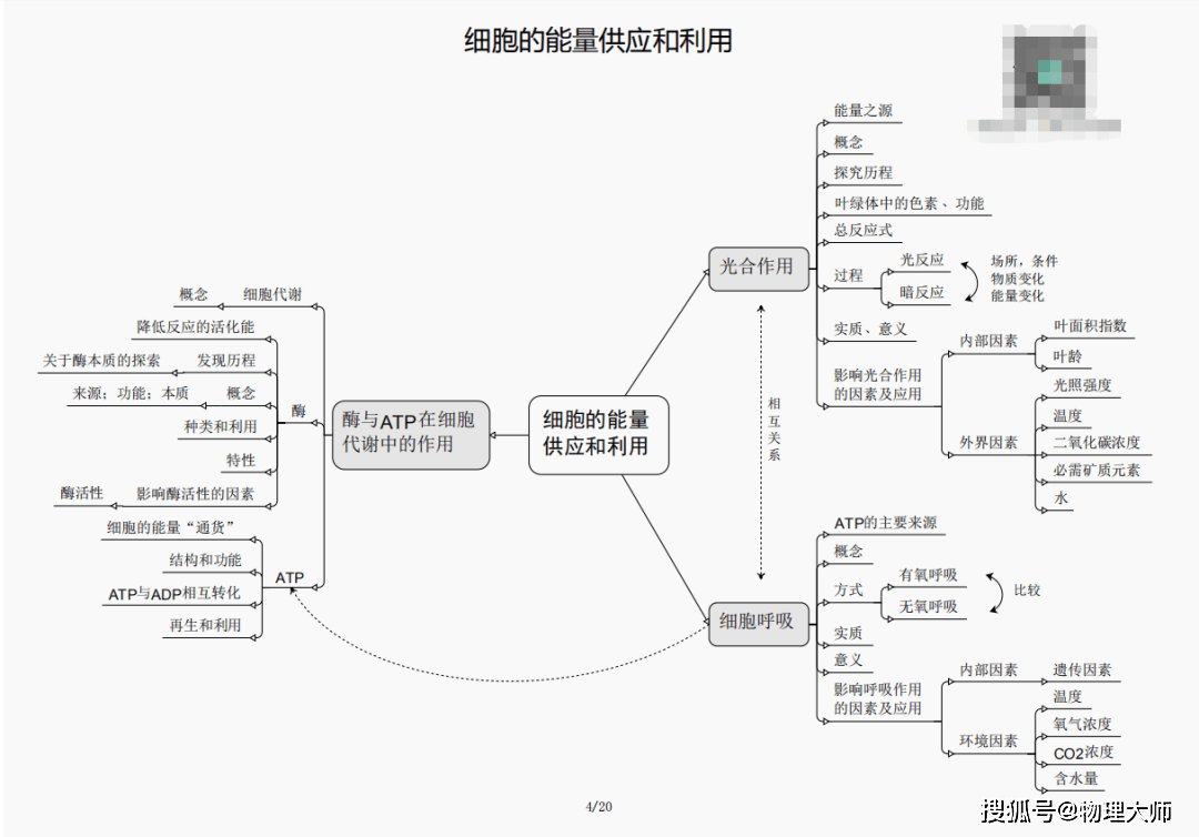 揭秘劉伯溫四肖三期內(nèi)必出一，神秘預(yù)言背后的真相，劉伯溫四肖三期預(yù)言真相揭秘，神秘預(yù)言背后的必然與偶然