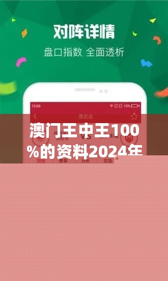 王中王網(wǎng)站一肖，探索與SEO優(yōu)化策略，王中王網(wǎng)站一肖，深度探索與SEO優(yōu)化策略實(shí)踐