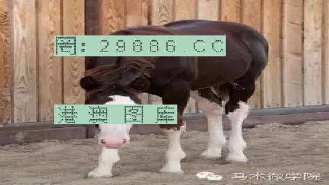 揭秘446999一肖中特馬之秘密，掌握中獎(jiǎng)玄機(jī)！，揭秘特馬中獎(jiǎng)玄機(jī)，446999一肖中的秘密大揭秘！
