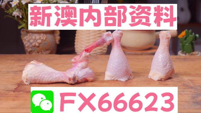 澳門一碼中精準一碼免費中特論壇，探索精準預測的魅力與優(yōu)勢，澳門一碼精準預測探索論壇，優(yōu)勢與魅力展現(xiàn)