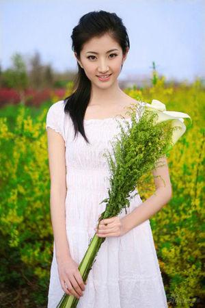 新澳門生肖走勢圖精準(zhǔn)版，解讀與SEO策略，新澳門生肖走勢圖精準(zhǔn)解讀與SEO策略揭秘