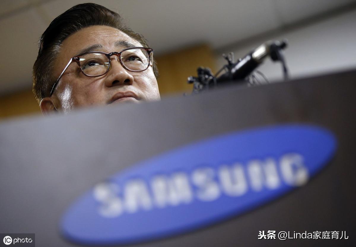 王中王86期指一生肖，深度解析與預測，王中王86期生肖深度解析與預測，揭秘生肖運勢走向